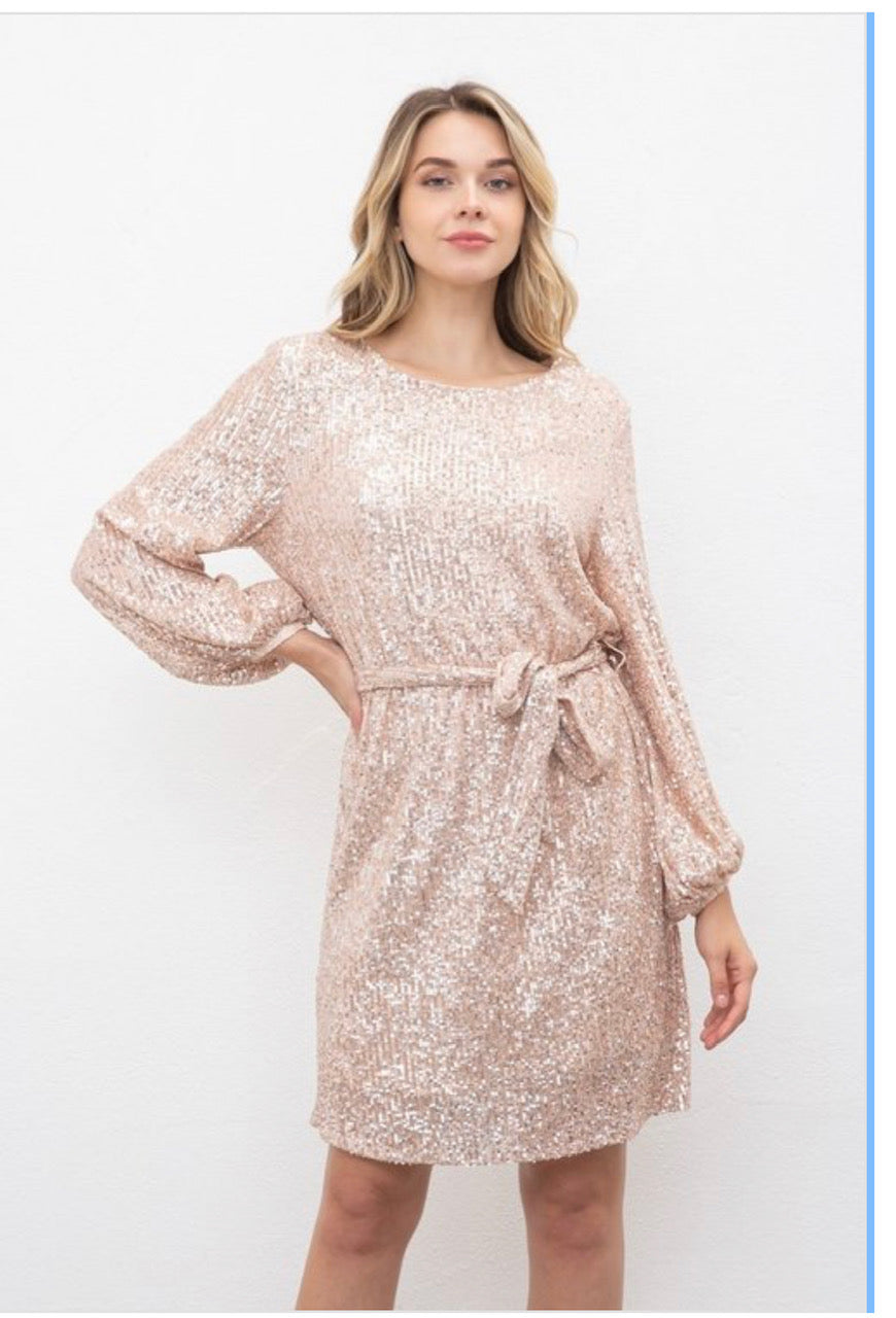 Golden Rose Oversize Sequin Long Sleeve Dress