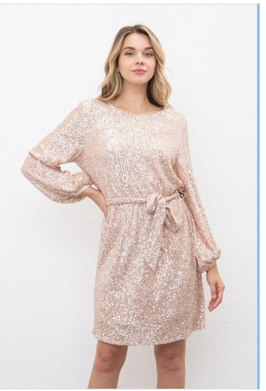 Sequin Long Sleeve Dress